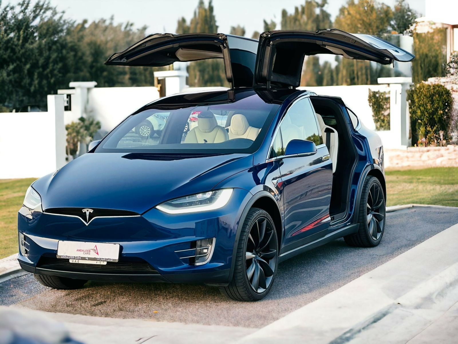 Tesla Model X