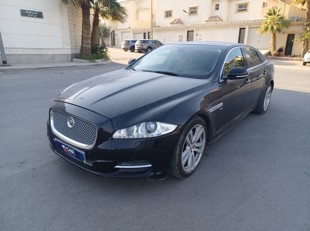 jaguar