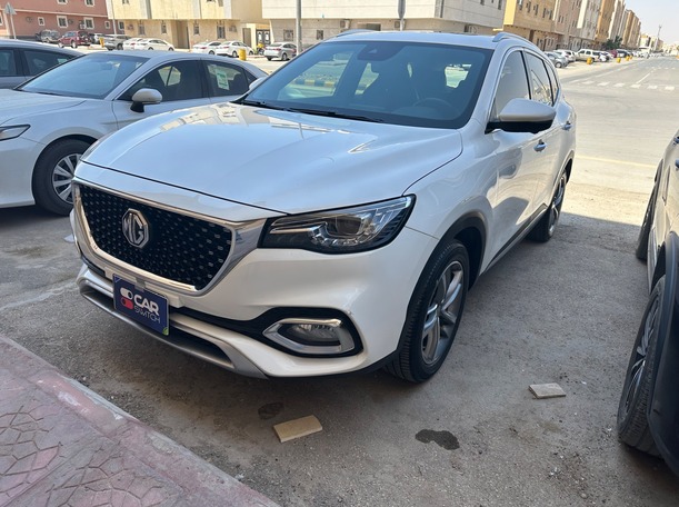 mg