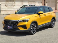 فاو بيستون T77