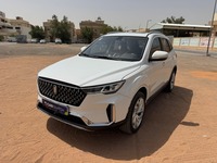 فاو بيستون T33