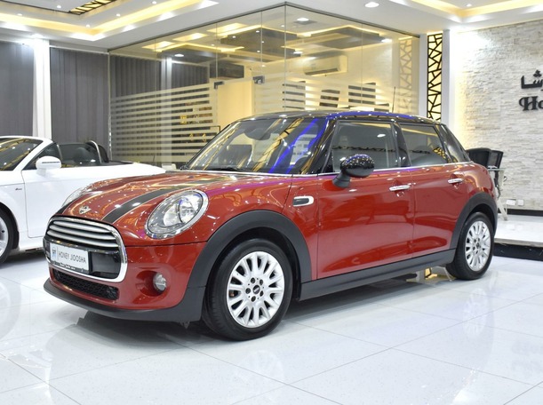 mini