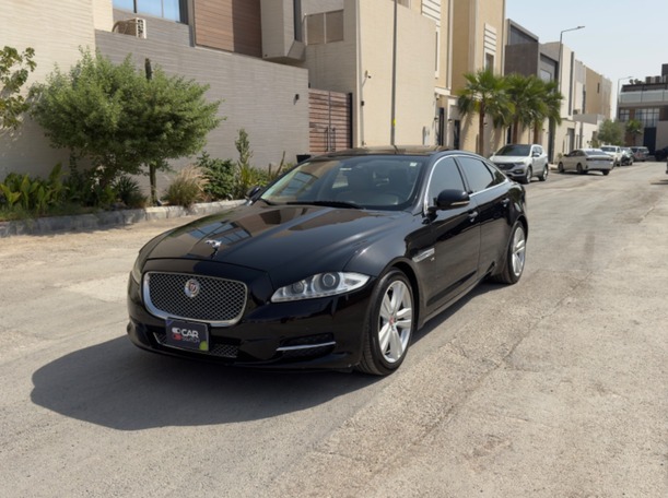 jaguar