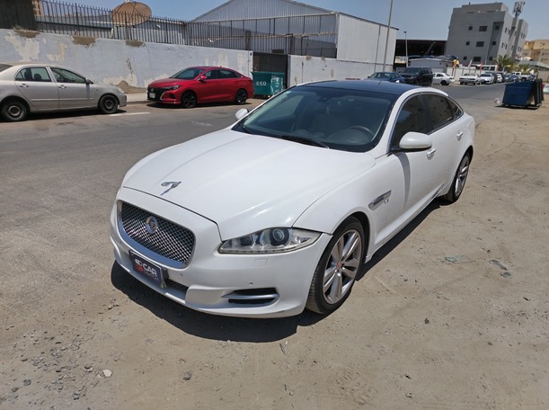 jaguar