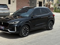 فاو بيستون T33