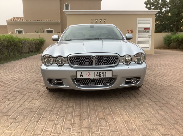 jaguar