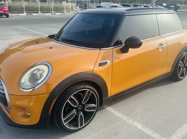 mini